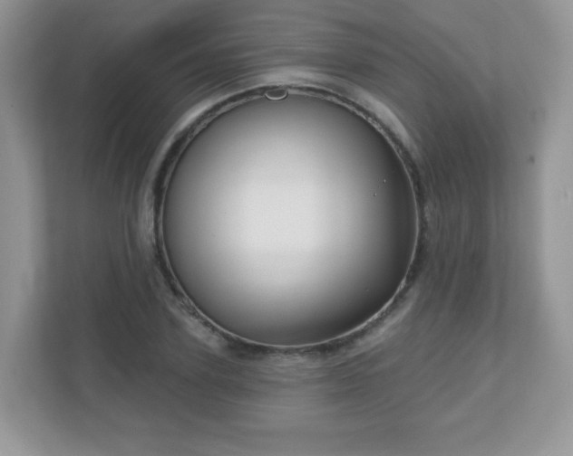 X0000111050931200907021616