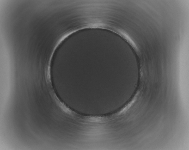 X0000111050932200907021616