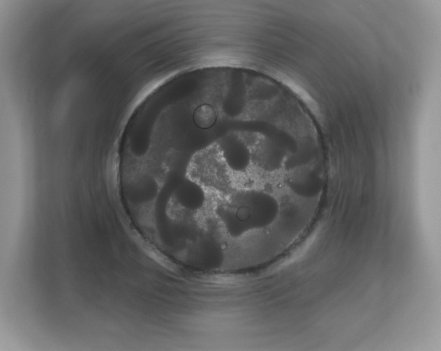 X0000111050933200907021616