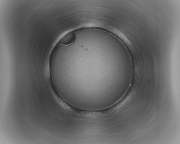 X0000111050934200907021617