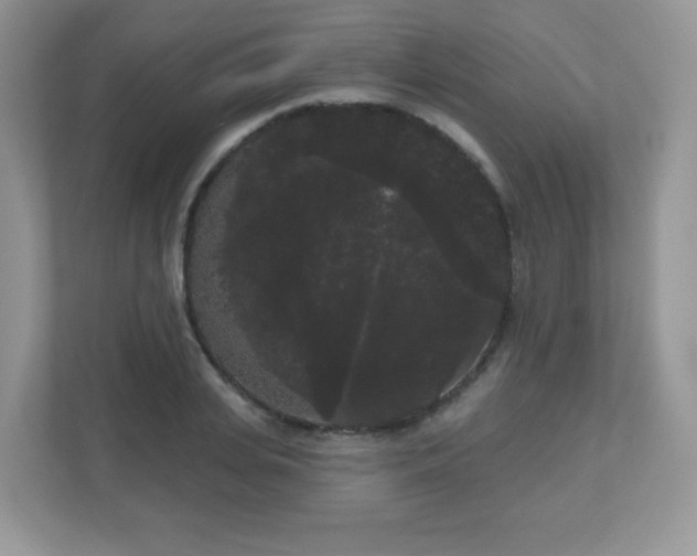 X0000111050935200907021617