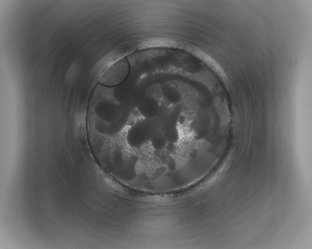 X0000111050937200907021617