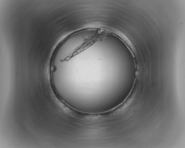 X0000111050939200907021617