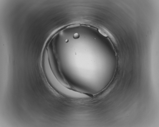 X0000111050940200907021617