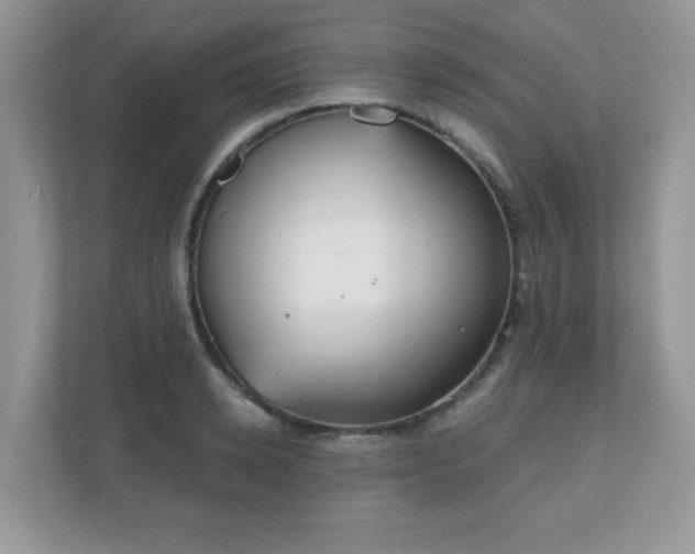 X0000111050942200907021617