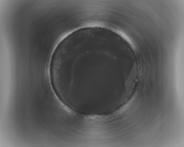 X0000111050943200907021617