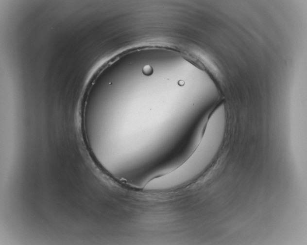 X0000111050944200907021617