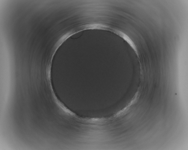 X0000111050946200907021617