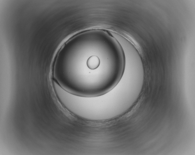 X0000111050948200907021617