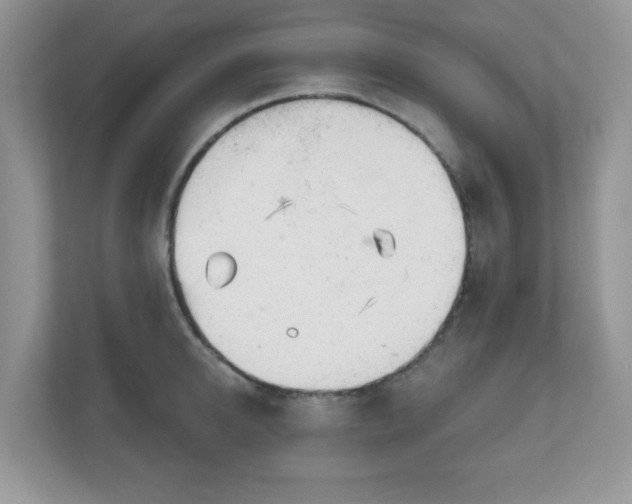 X0000111050950200907021617