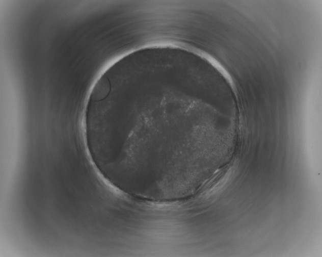 X0000111050951200907021617