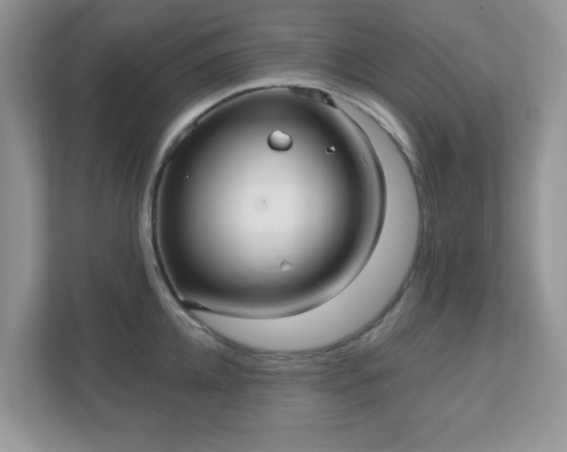 X0000111050952200907021617