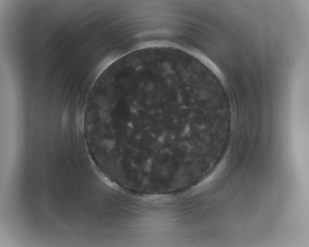 X0000111050953200907021617