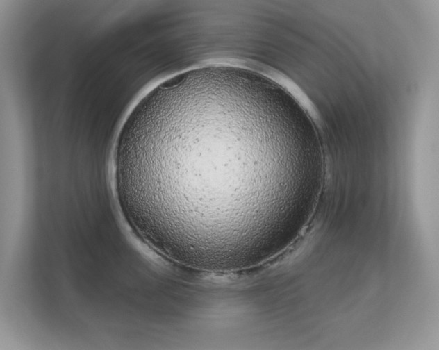 X0000111050955200907021617