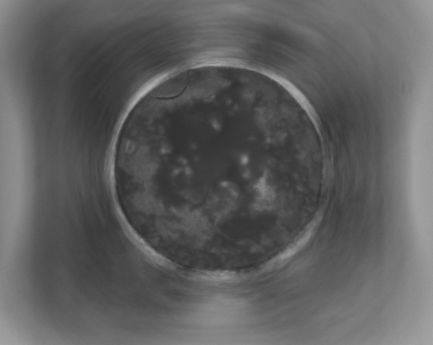 X0000111050957200907021617