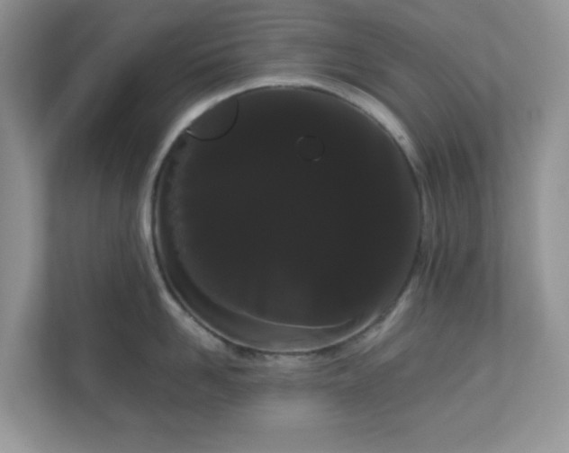 X0000111050958200907021617