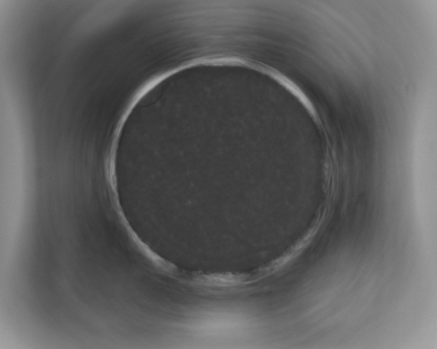 X0000111050959200907021617