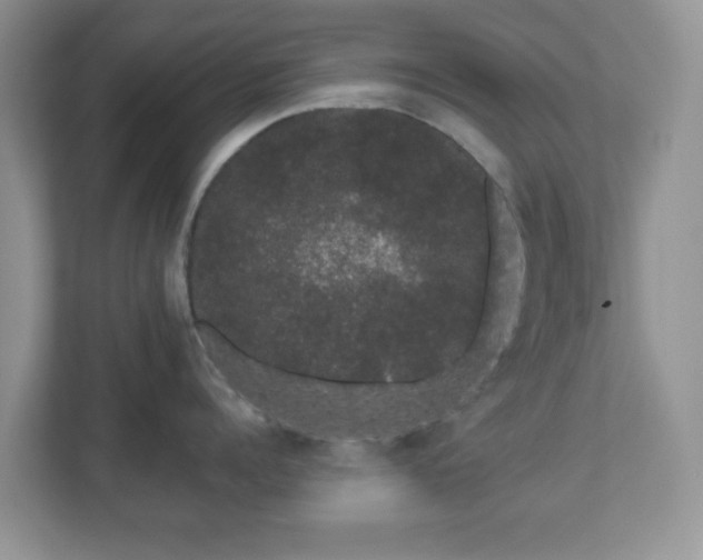 X0000111050960200907021617