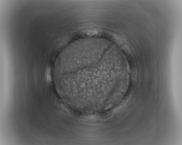 X0000111050962200907021616