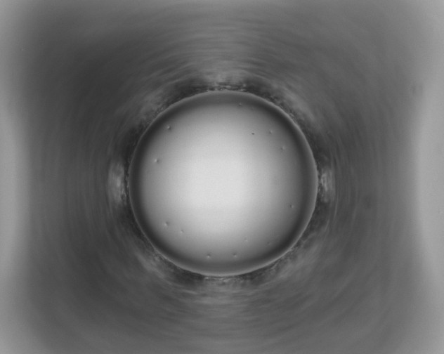 X0000111050963200907021616