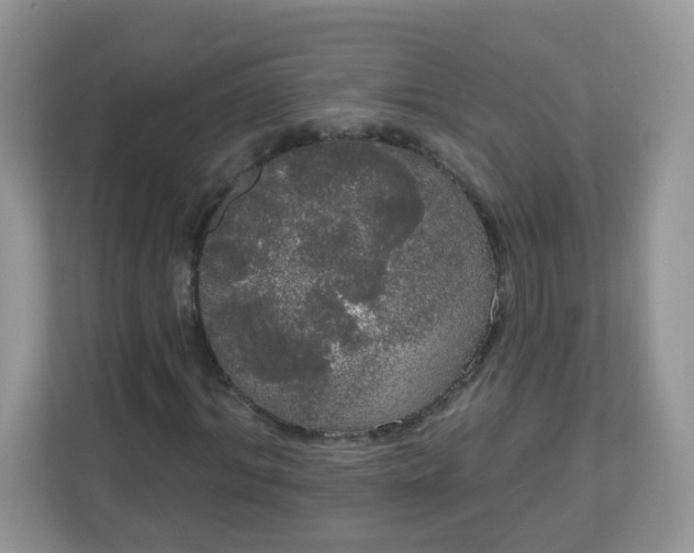 X0000111050964200907021616