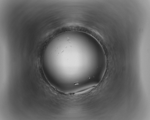 X0000111050965200907021616