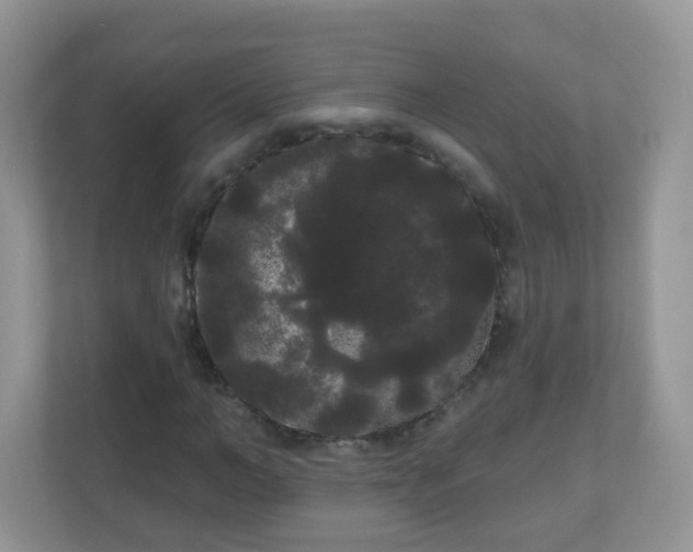 X0000111050966200907021616