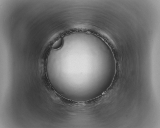 X0000111050968200907021616