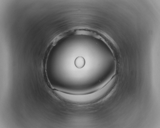 X0000111050969200907021616