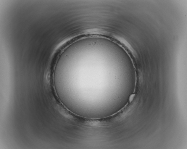 X0000111050971200907021616