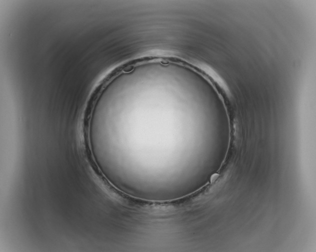 X0000111050972200907021616