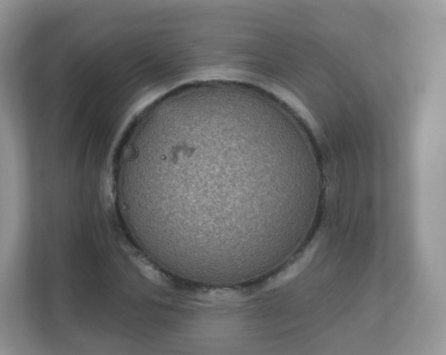 X0000111050974200907021616