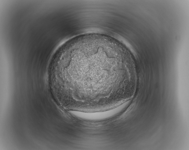 X0000111050975200907021616