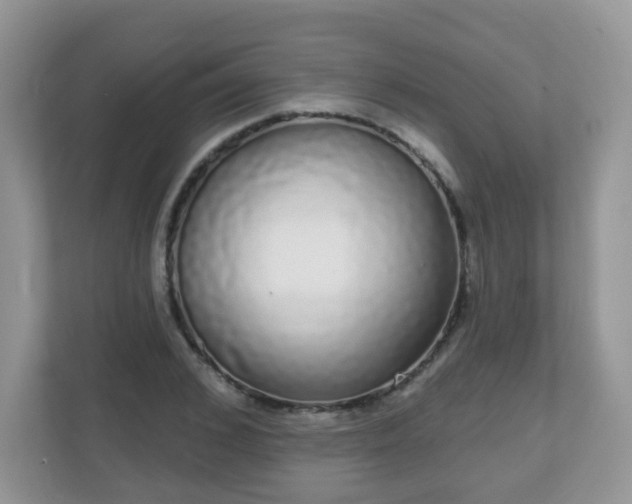 X0000111050976200907021616