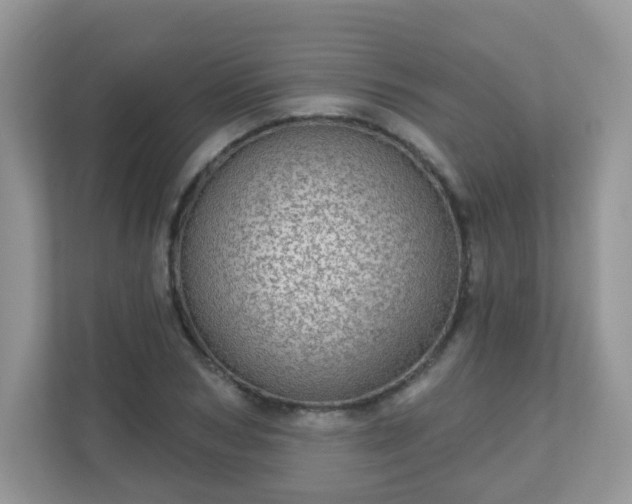 X0000111050978200907021616