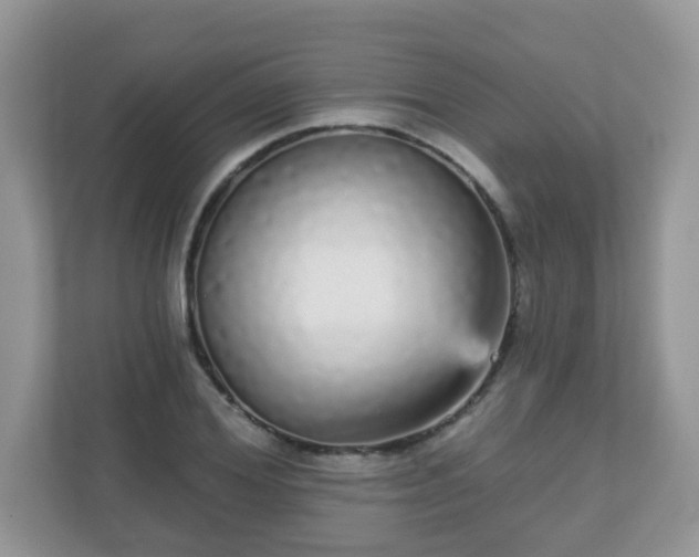 X0000111050980200907021616