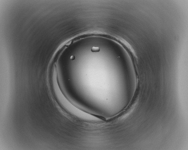 X0000111050981200907021616