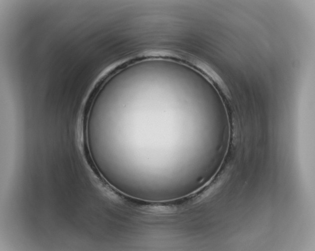 X0000111050984200907021616