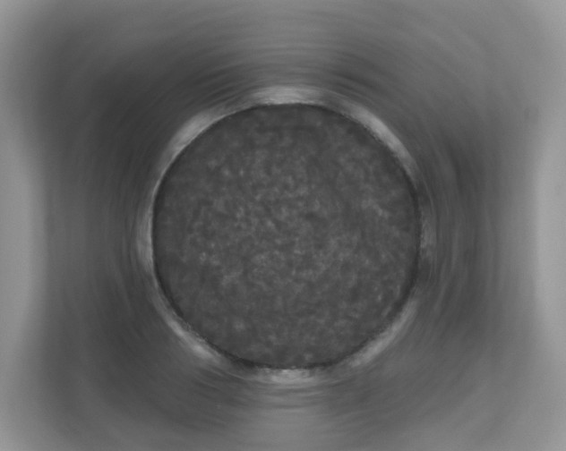 X0000111050986200907021616