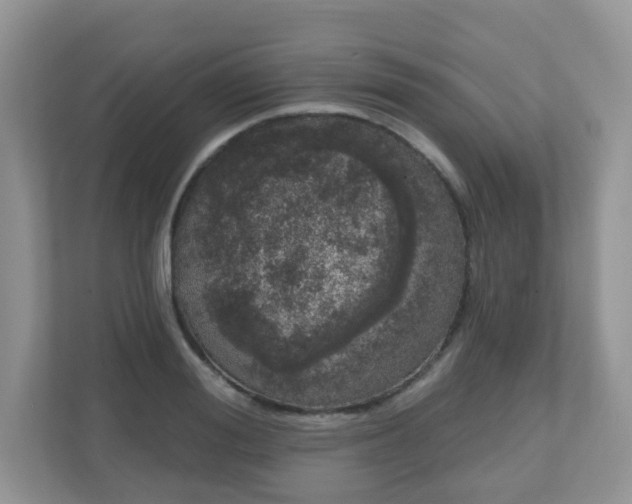 X0000111050988200907021616