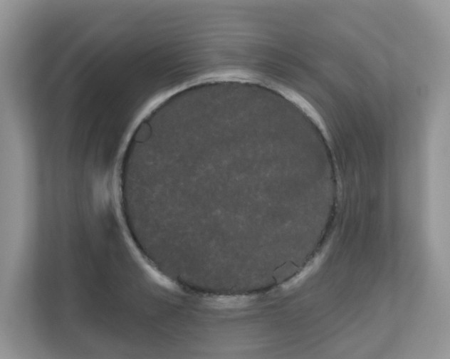 X0000111050989200907021616