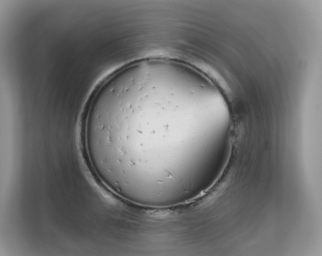 X0000111050991200907021616