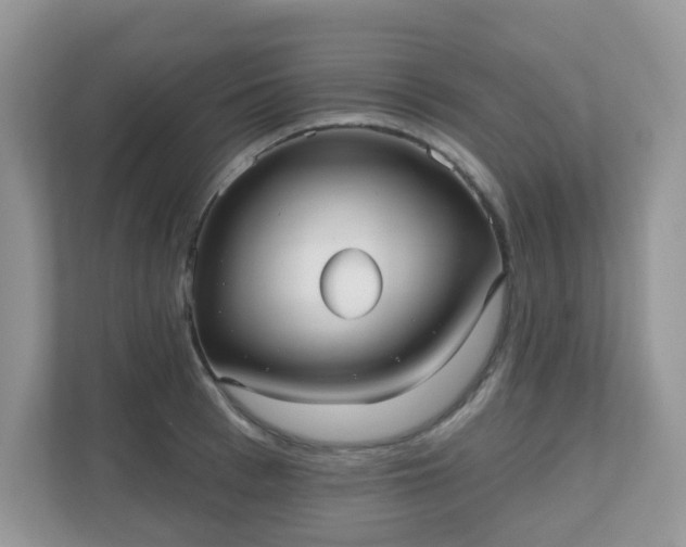 X0000111050993200907021616