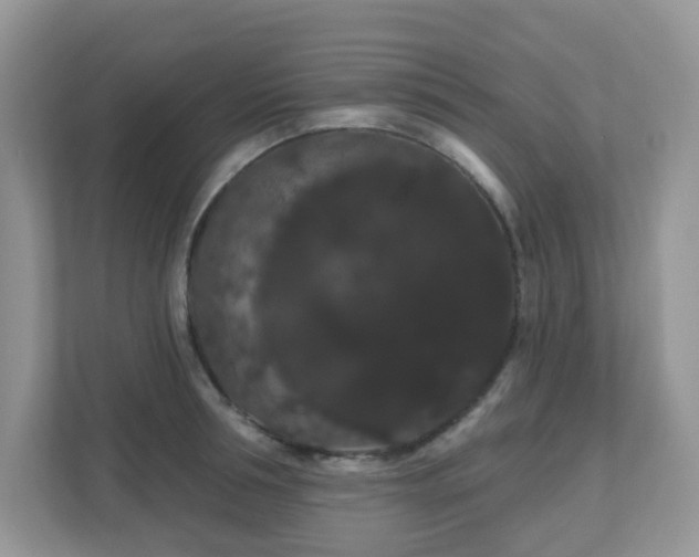 X0000111050994200907021616