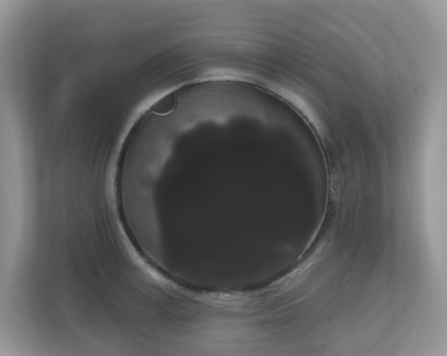 X0000111050995200907021616