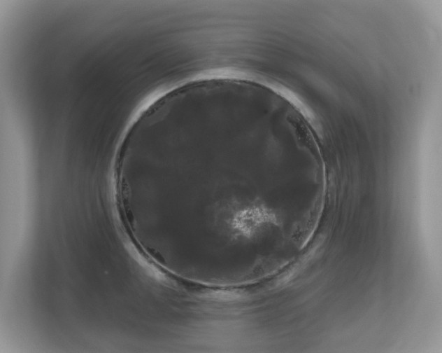 X0000111050998200907021616