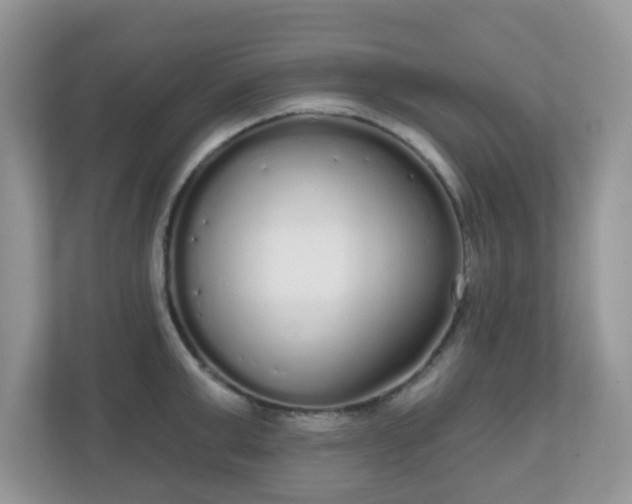 X0000111050999200907021616