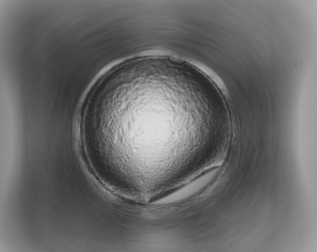 X0000111051000200907021616