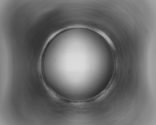 X0000111051004200907021616