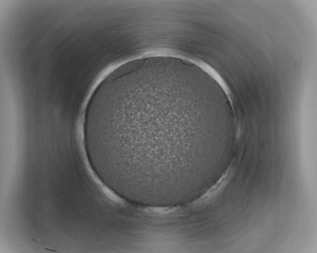 X0000111051005200907021616